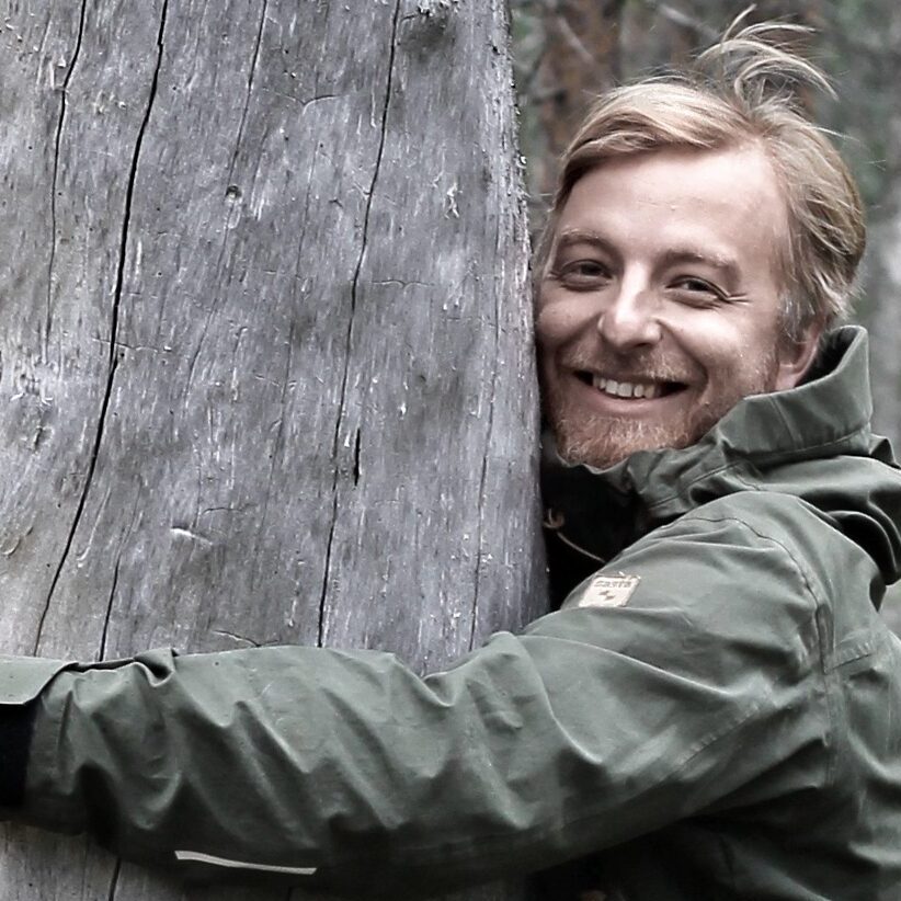 Tuomas Aakala, Professor of Forest Disturbance Ecology hugging a kelo tree