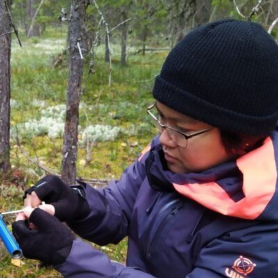 Pemelyn Santos extracting an increment core from a tree