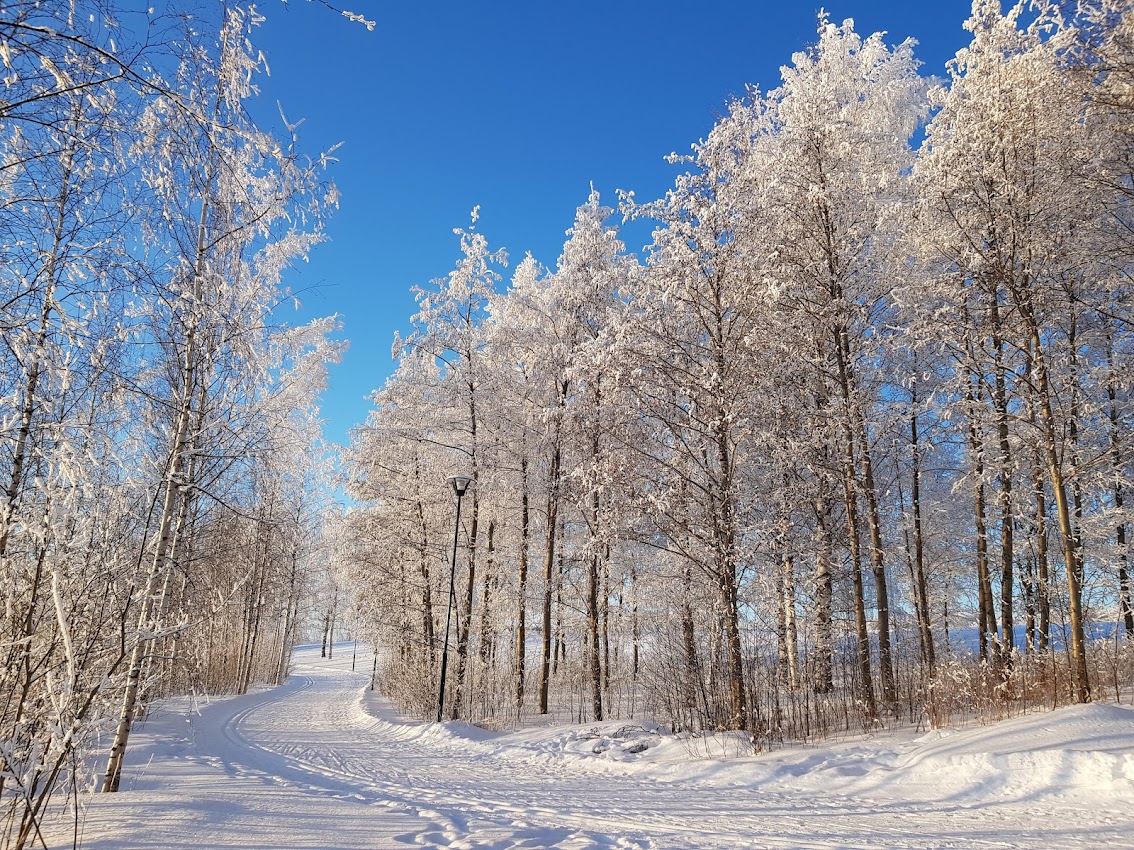 Winter in Joensuu walk path