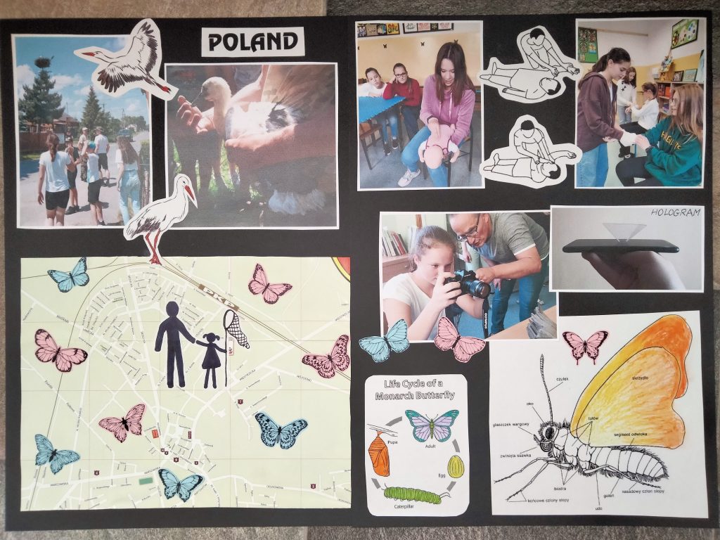 Polish students team's collage 