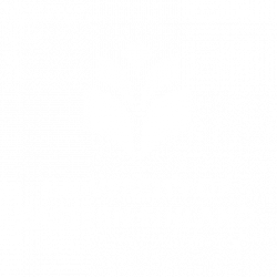 Kuopio Musculoskeletal Research Unit – KMRU
