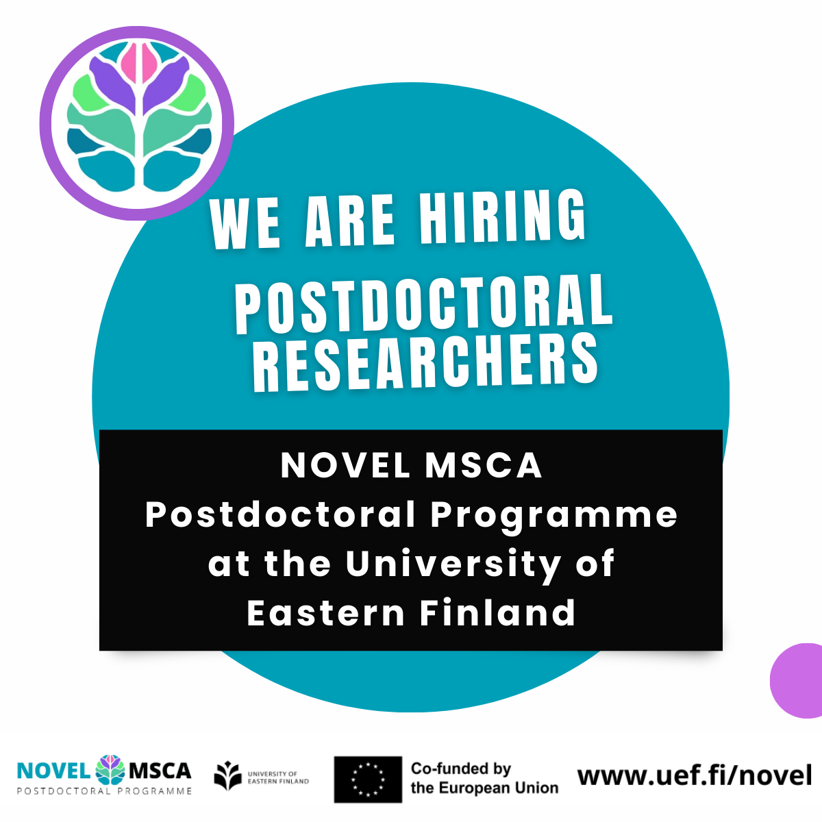 Novel MSCA Postdoctoral Programme