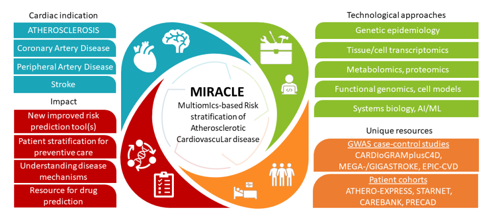 Figure showing MIRACLE research.