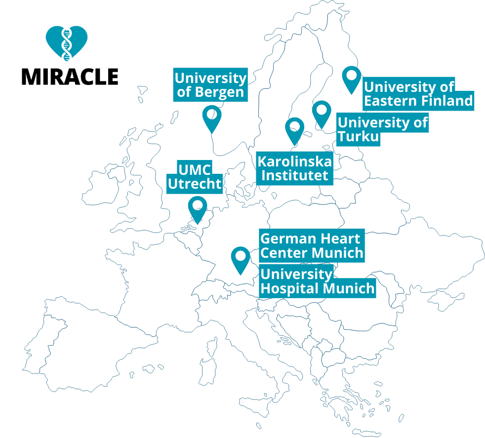 MIRACLE partners on the map of Europe