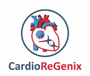 CardioReGenix_projekti