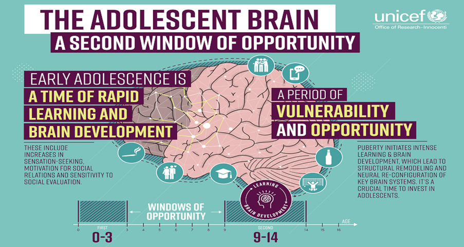 Unicef's infographic of the adolescent brain