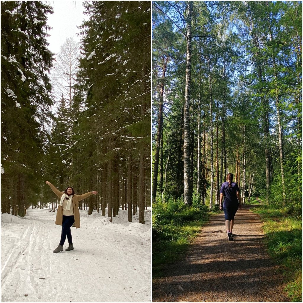 Hannaneh Moradi in the forest in the winter and summer