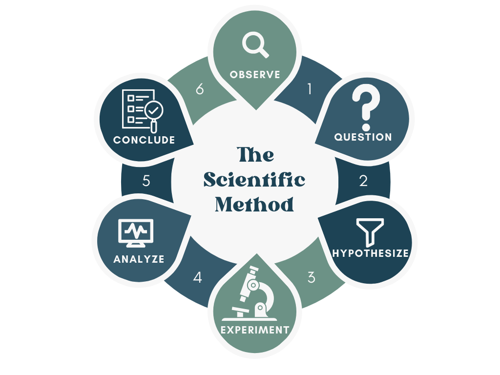 An infographic of the scientific method