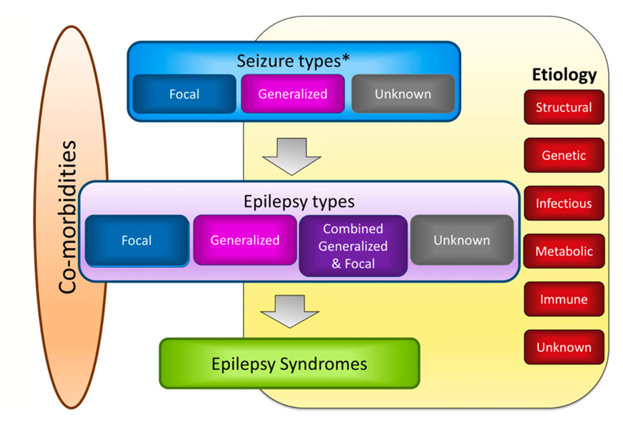 ILAE Epilepsy Classification