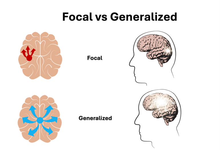A diagram of a brain
AI-generated content may be incorrect.