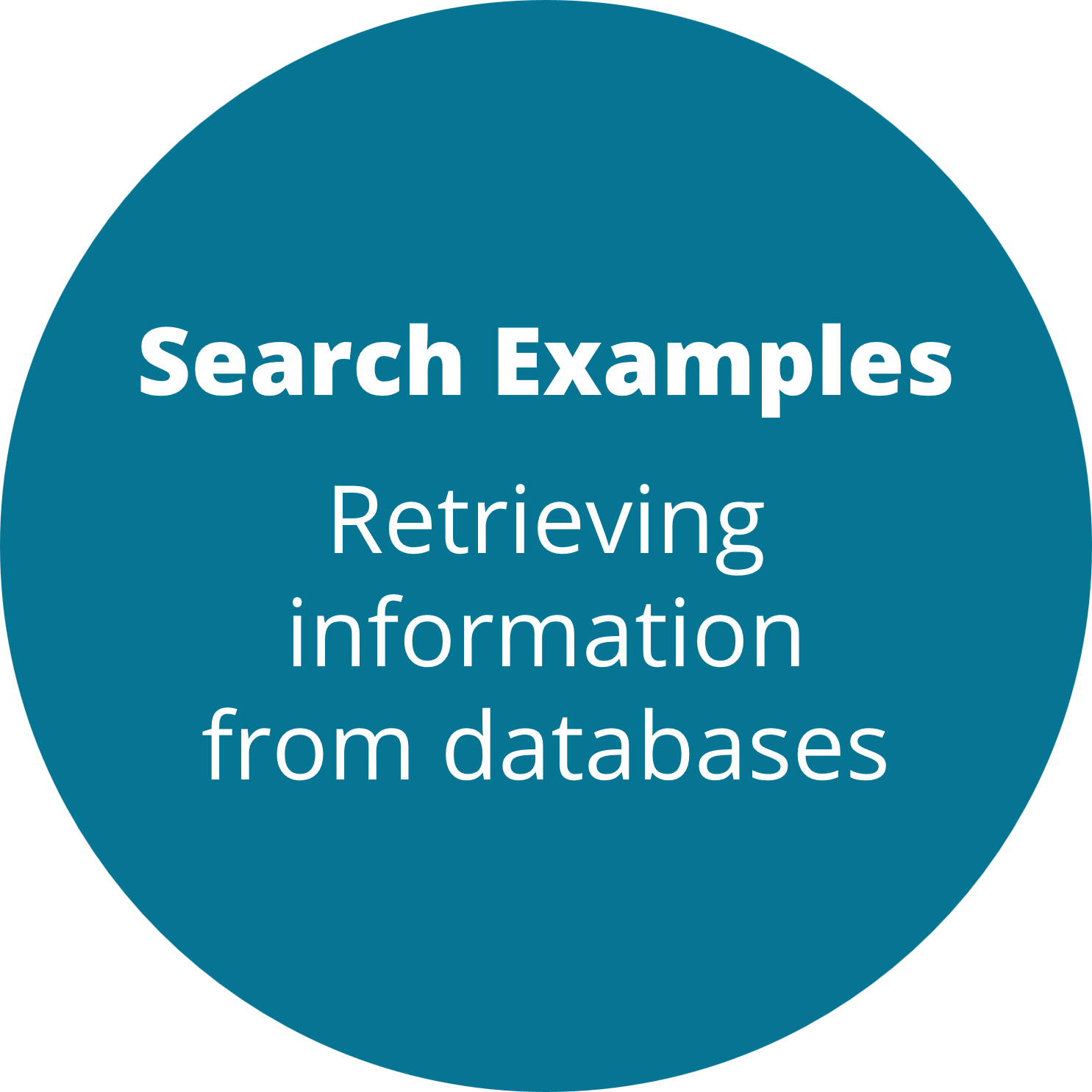 Search examples section, Retrieving information from databases, Information retrieval topics and search queries.