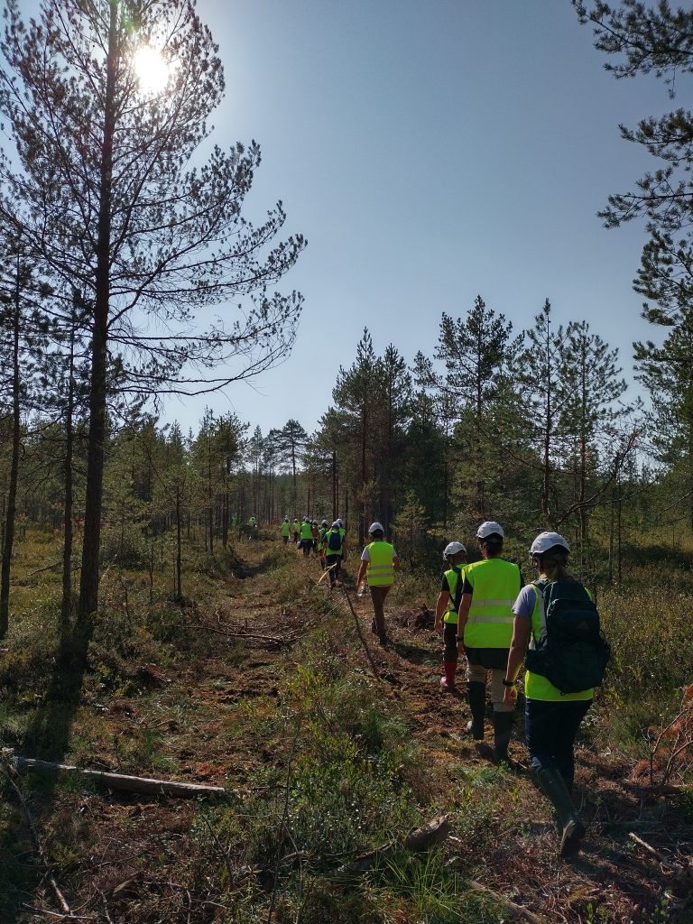 ihmisiä kävelee metsäojitetulla suolla