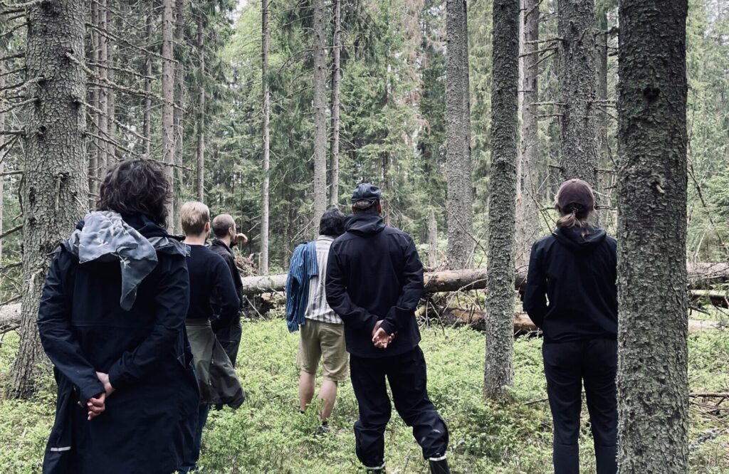 Kuvassa on kuusi henkilöä metsässä. He seisovat selkä kameraan päin ja katsovat kuvan taka-alalla näkyviä kaatuneita puunrunkoja.
